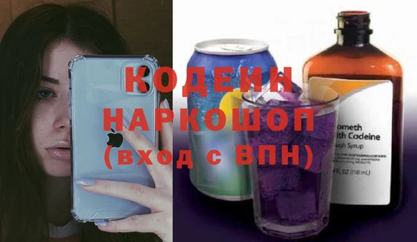 гашик Горняк