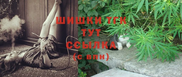 гидра Дмитриев