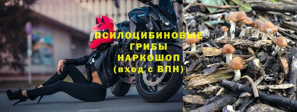 мет Дмитров