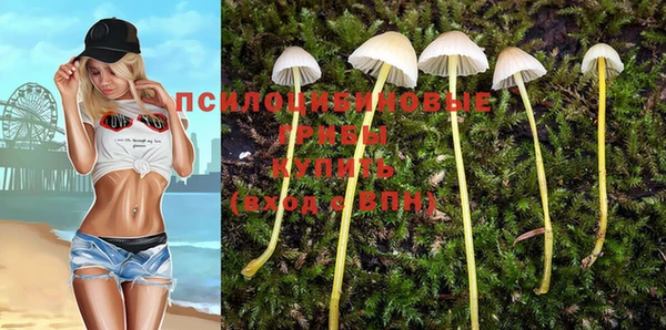PSILOCYBIN Дмитровск