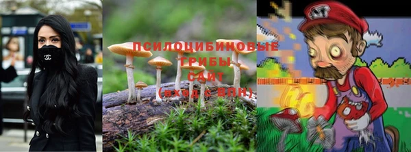 бошки Медвежьегорск