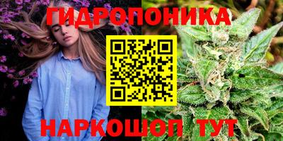 ПСИЛОЦИБИНОВЫЕ ГРИБЫ Балахна