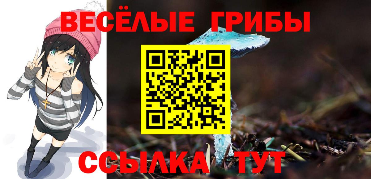 Елабуга  Галлюциногенные грибы прущие грибы  Вход с VPN 