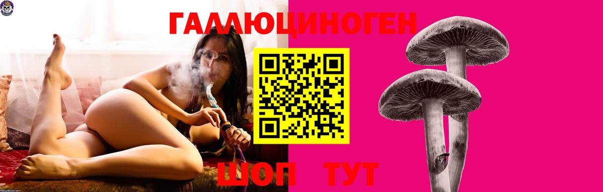 Псилоцибиновые грибы Елабуга